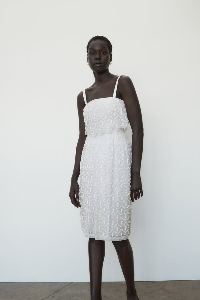 Vintage Organza Dress - Desert Vintage