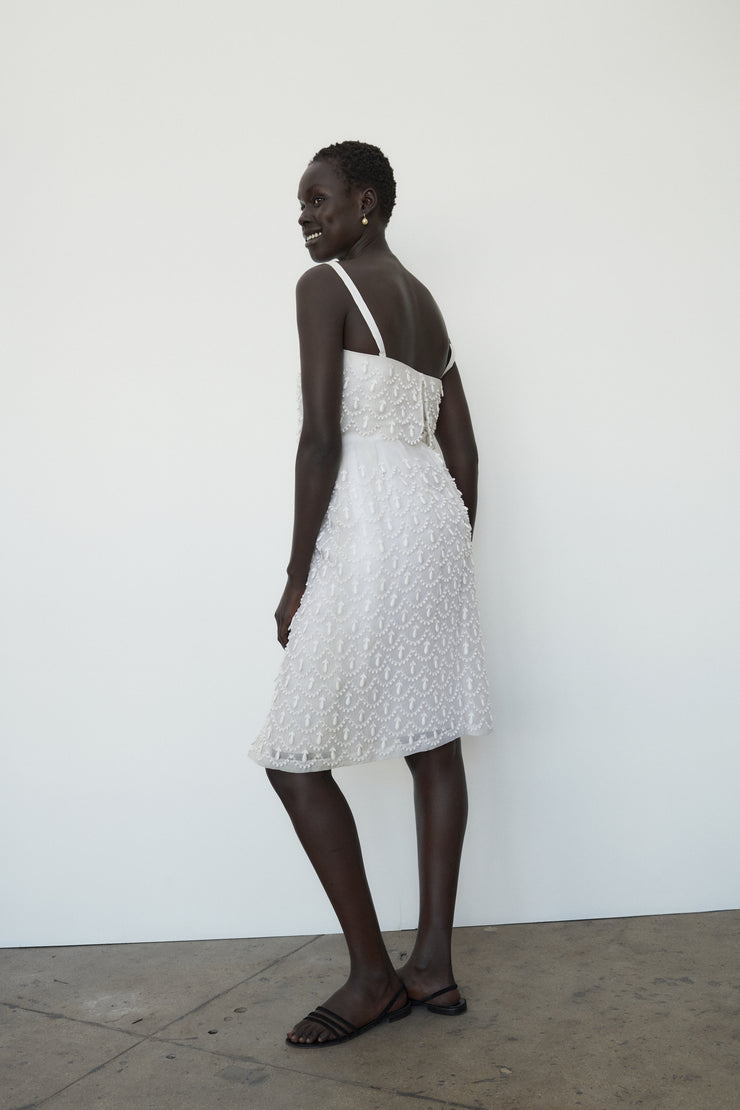 Vintage Organza Dress - Desert Vintage