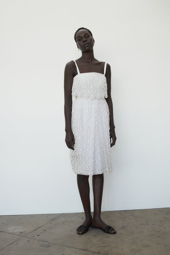 Vintage Organza Dress - Desert Vintage