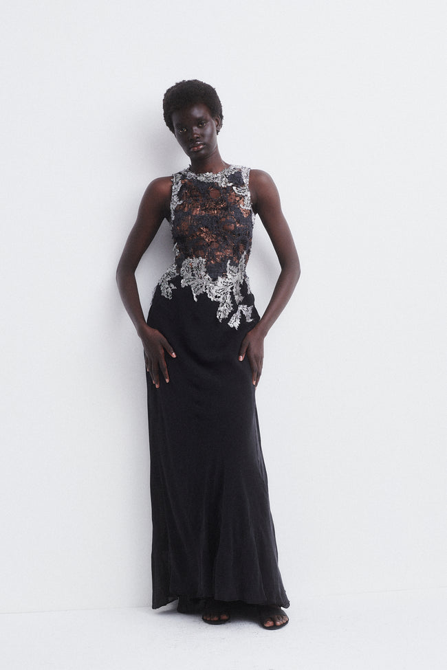 Vintage Chiffon Lace Gown - Desert Vintage