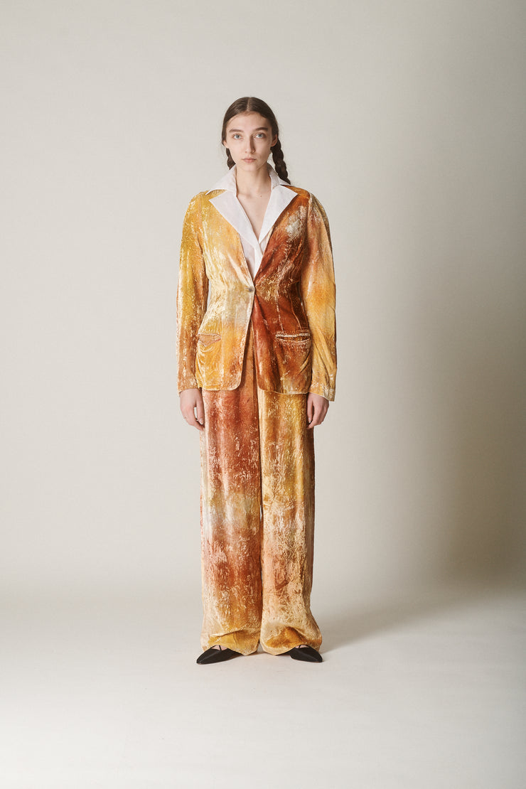 Michele Lamy Silk Velvet Suit - Desert Vintage